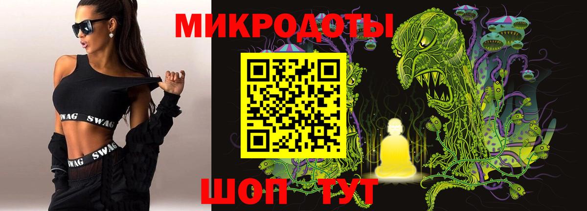 Псилоцибиновые грибы мицелий Казань